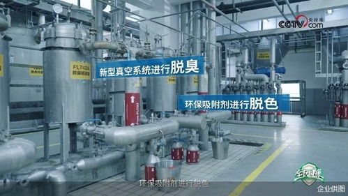 央视网走进多力安心工厂 探寻降低油烟技术专利奥秘，见证健康厨房技术推广