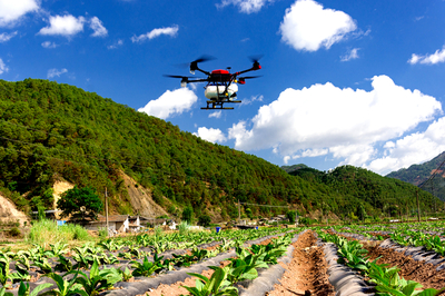 技术推‘新’烟田增‘绿’ 科技赋能烟草农业可持续发展